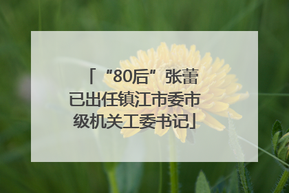 “80后”张蕾已出任镇江市委市级机关工委书记