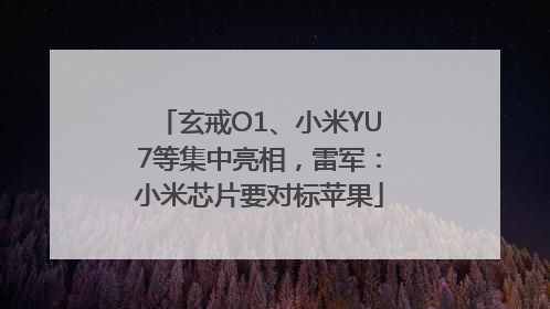 玄戒O1、小米YU7等集中亮相，雷军：小米芯片要对标苹果