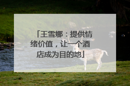 王雪娜：提供情绪价值，让一个酒店成为目的地