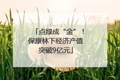 点绿成“金”！保康林下经济产值突破9亿元