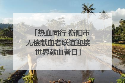热血同行 衡阳市无偿献血者联谊迎接世界献血者日