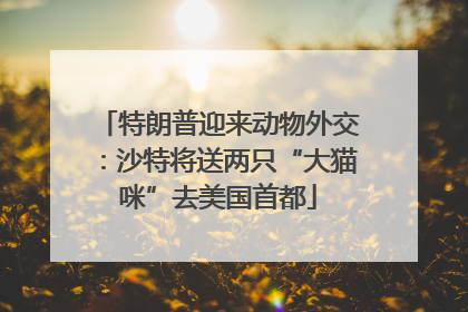 特朗普迎来动物外交：沙特将送两只“大猫咪”去美国首都
