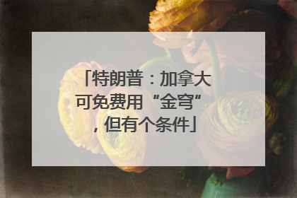 特朗普：加拿大可免费用“金穹”，但有个条件