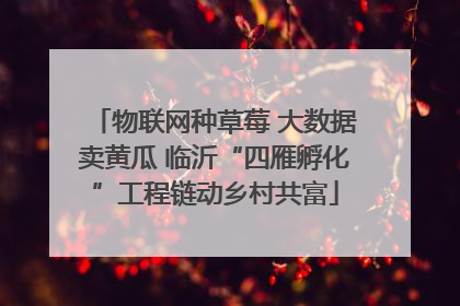 物联网种草莓 大数据卖黄瓜 临沂“四雁孵化”工程链动乡村共富