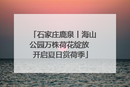 石家庄鹿泉丨海山公园万株荷花绽放 开启夏日赏荷季