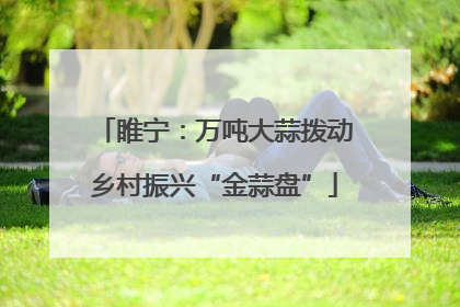 睢宁：万吨大蒜拨动乡村振兴“金蒜盘”