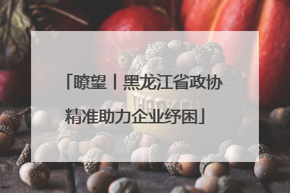 瞭望丨黑龙江省政协精准助力企业纾困
