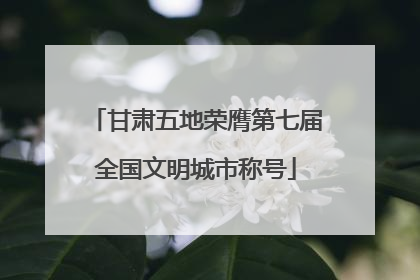 甘肃五地荣膺第七届全国文明城市称号