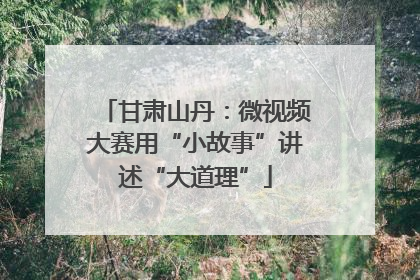 甘肃山丹：微视频大赛用“小故事”讲述“大道理”
