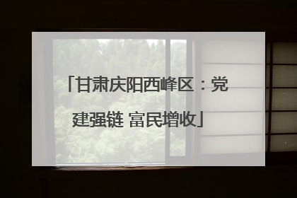 甘肃庆阳西峰区：党建强链 富民增收