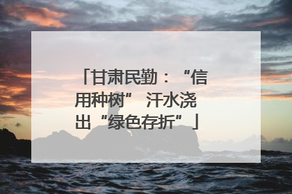 甘肃民勤：“信用种树” 汗水浇出“绿色存折”