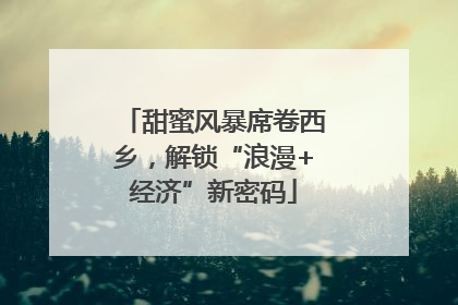 甜蜜风暴席卷西乡，解锁“浪漫+经济”新密码