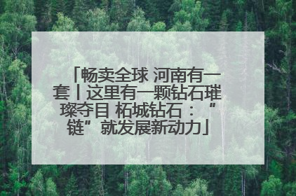 畅卖全球 河南有一套丨这里有一颗钻石璀璨夺目 柘城钻石：“链”就发展新动力