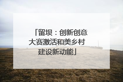 留坝：创新创意大赛激活和美乡村建设新动能