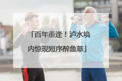 百年重逢！泸水境内惊现短序醉鱼草