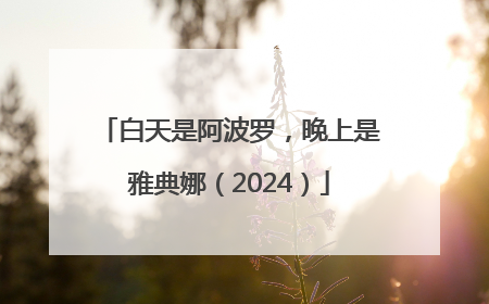 白天是阿波罗，晚上是雅典娜（2024）