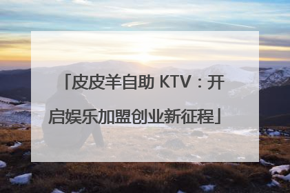 皮皮羊自助 KTV：开启娱乐加盟创业新征程