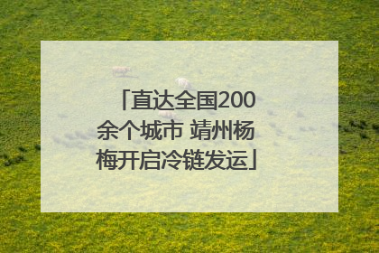 直达全国200余个城市 靖州杨梅开启冷链发运