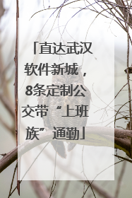 直达武汉软件新城，8条定制公交带“上班族”通勤