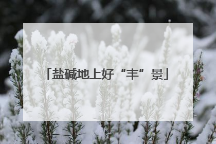 盐碱地上好“丰”景