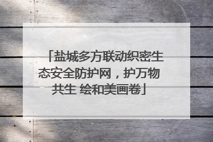 盐城多方联动织密生态安全防护网，护万物共生 绘和美画卷