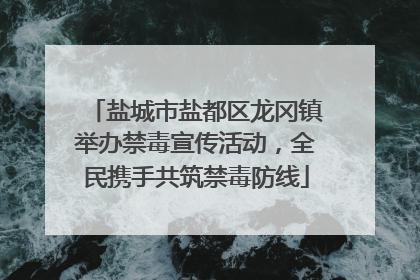 盐城市盐都区龙冈镇举办禁毒宣传活动，全民携手共筑禁毒防线