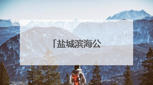 盐城滨海公安亮剑“盐靖”Ⅱ号行动