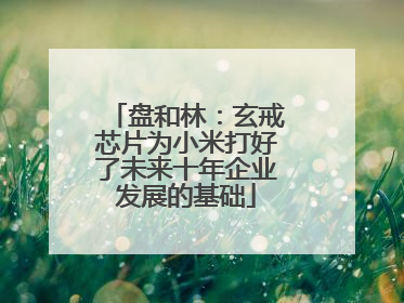 盘和林：玄戒芯片为小米打好了未来十年企业发展的基础