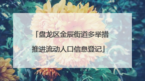 盘龙区金辰街道多举措推进流动人口信息登记