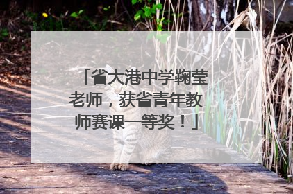 省大港中学鞠莹老师，获省青年教师赛课一等奖！