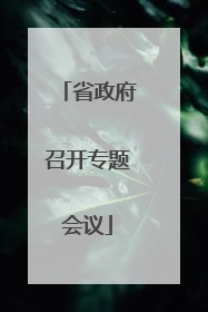 省政府召开专题会议