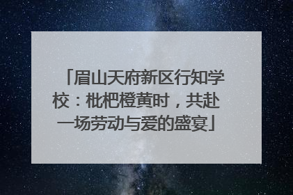 眉山天府新区行知学校：枇杷橙黄时，共赴一场劳动与爱的盛宴
