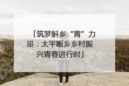 筑梦斛乡“青”力量：太平畈乡乡村振兴青春进行时