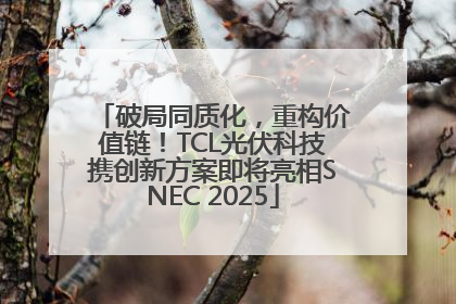 破局同质化，重构价值链！TCL光伏科技携创新方案即将亮相SNEC 2025