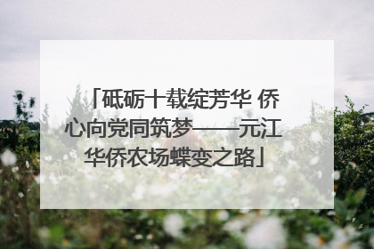 砥砺十载绽芳华 侨心向党同筑梦——元江华侨农场蝶变之路
