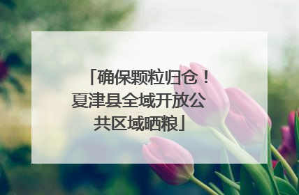 确保颗粒归仓！夏津县全域开放公共区域晒粮