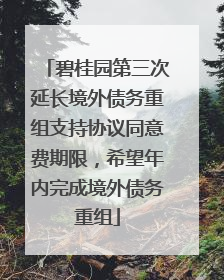 碧桂园第三次延长境外债务重组支持协议同意费期限，希望年内完成境外债务重组