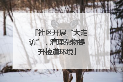 社区开展“大走访”，清理杂物提升楼道环境