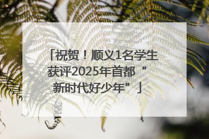 祝贺！顺义1名学生获评2025年首都“新时代好少年”