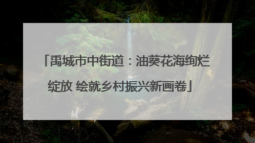 禹城市中街道：油葵花海绚烂绽放 绘就乡村振兴新画卷