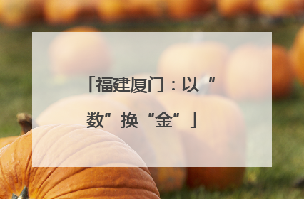 福建厦门：以“数”换“金”