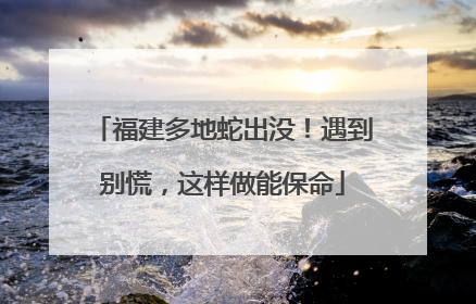 福建多地蛇出没！遇到别慌，这样做能保命