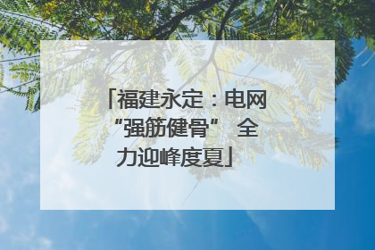 福建永定：电网“强筋健骨” 全力迎峰度夏