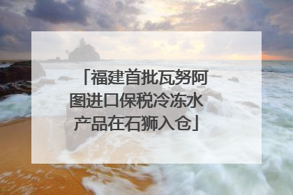 福建首批瓦努阿图进口保税冷冻水产品在石狮入仓