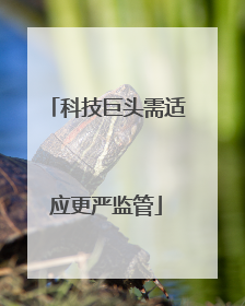 科技巨头需适应更严监管