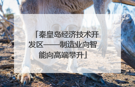 秦皇岛经济技术开发区——制造业向智能向高端攀升
