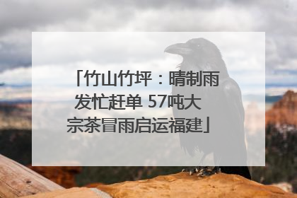 竹山竹坪：晴制雨发忙赶单 57吨大宗茶冒雨启运福建