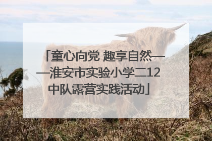 童心向党 趣享自然——淮安市实验小学二12中队露营实践活动