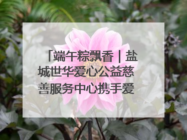 端午粽飘香｜盐城世华爱心公益慈善服务中心携手爱心企业发起情暖“城市守护者”慰问活动