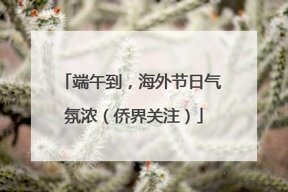 端午到，海外节日气氛浓（侨界关注）